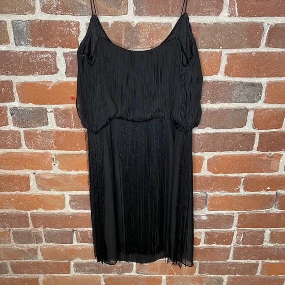 Fringe Dress - Picture 6 of 9